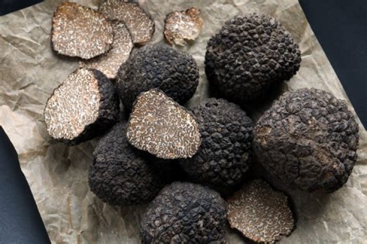 Do truffles grow in ontario?