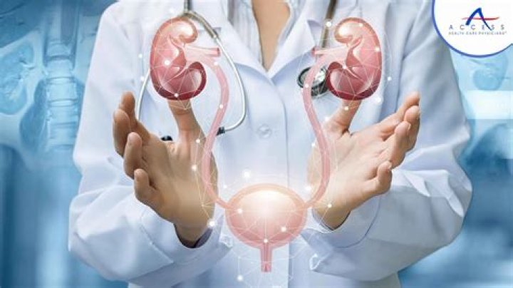 Do urologists treat hypogonadism?