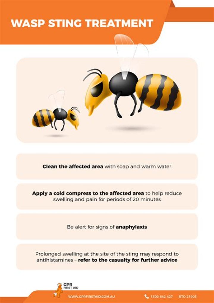 Do wasps sting you on purpose?