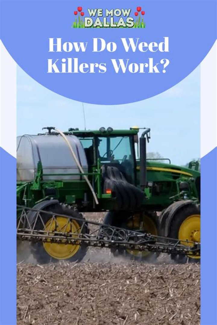 Do weed killers work?