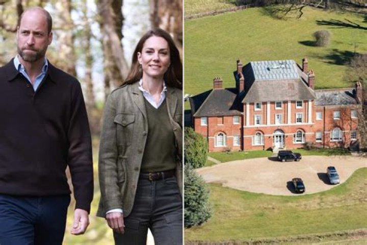 Do william and henry have a stepsister?
