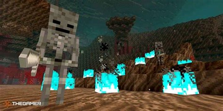 Do wither skeletons burn in daylight?