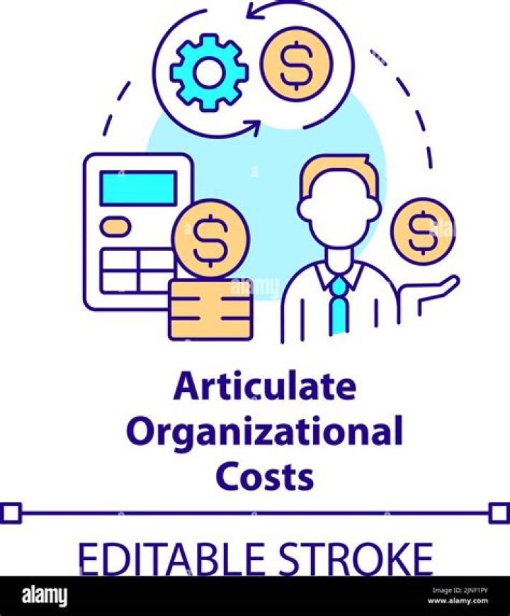 Do you amortize organizational costs?