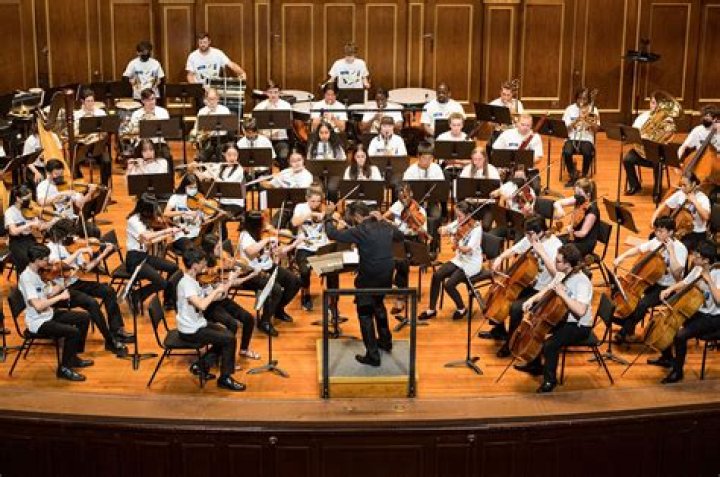 Do you need a degree to play in an orchestra?