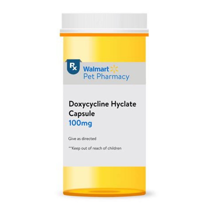 Do you take amantadine with food?