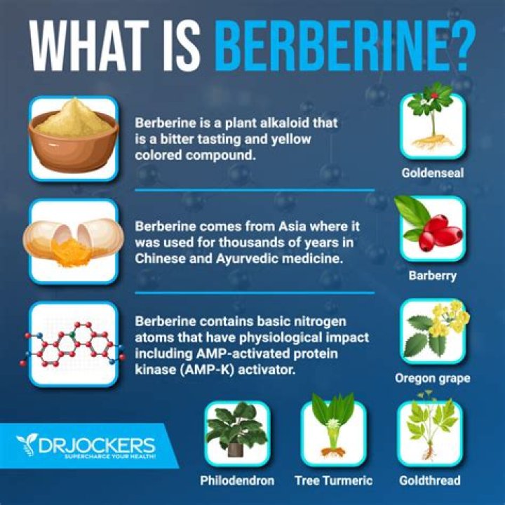 Do you take berberine with food?