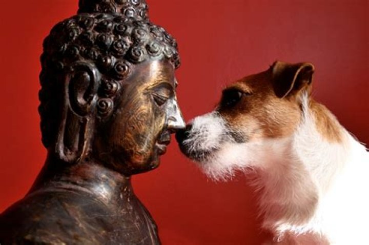 Does a dog have buddha nature?
