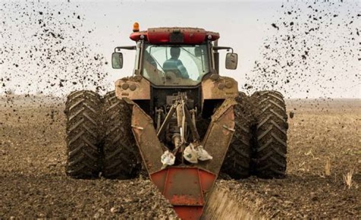 Does a trencher cut through roots?