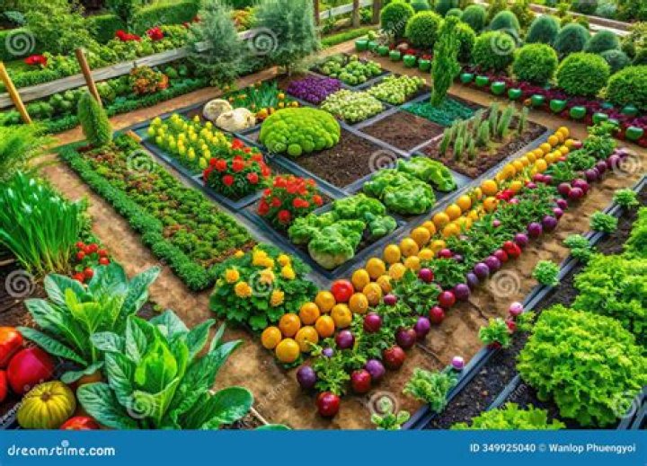 Does a vegetable garden need full sun?