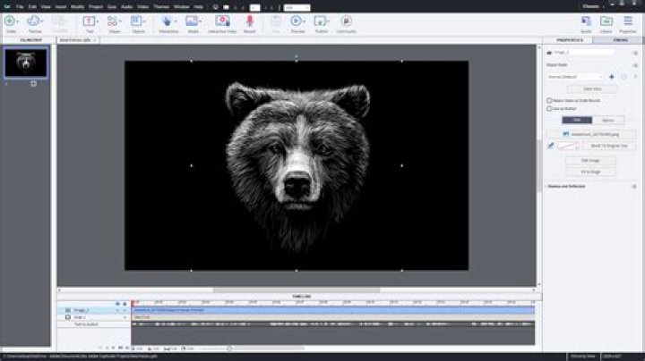 Does adobe captivate use flash?