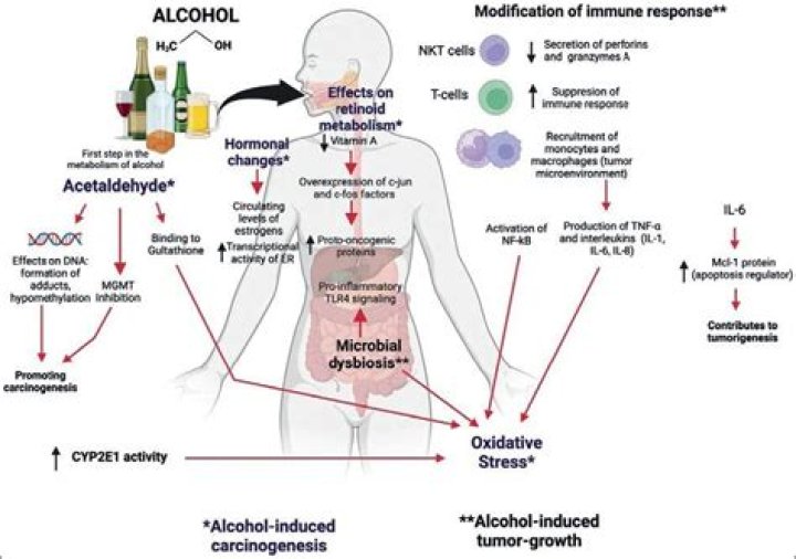Does alcohol cause inflammation in the body?