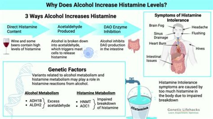 Does alcohol increase hdl?