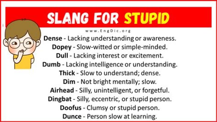 Does anserine mean stupid?