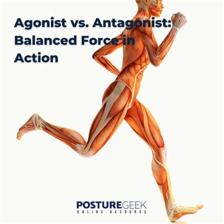 Does antagonist mean opponent?