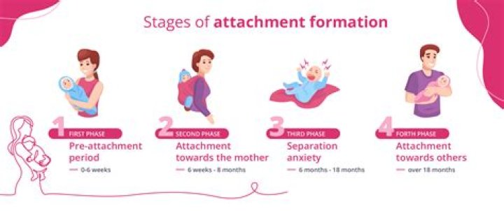 Does attachment start in the womb?
