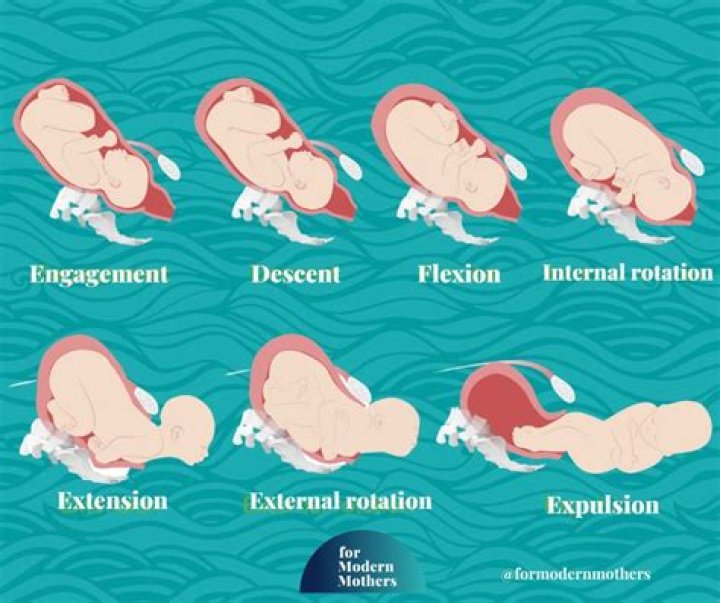Does baby quieten down before labor?