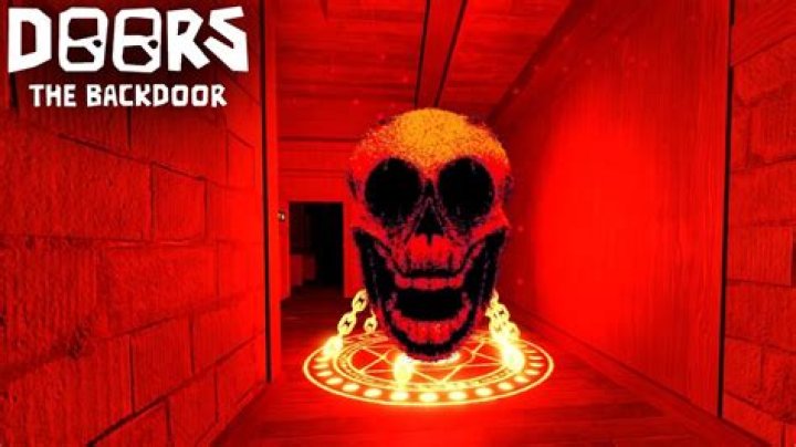 Does backdoor man mean?
