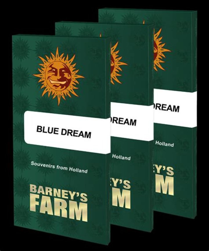 Does barneys farm ship to canada?