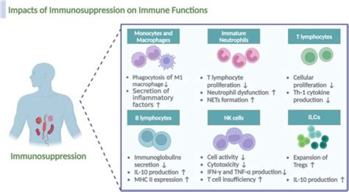 Does bcg cause immunosuppression?