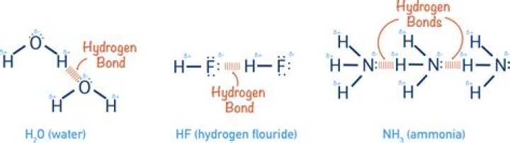 Does boron have hydrogen bonding?