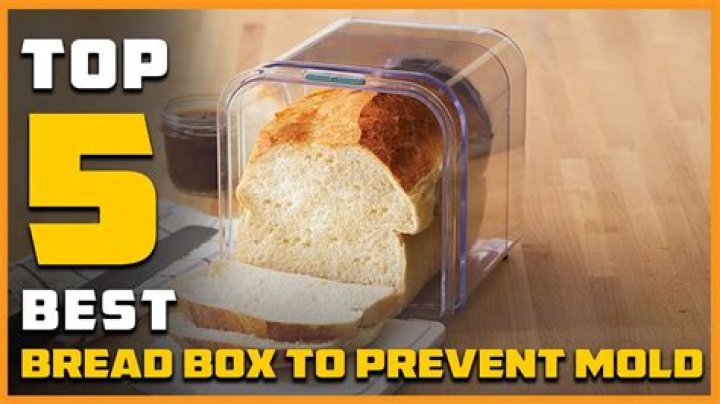 Does bread box prevent mold?