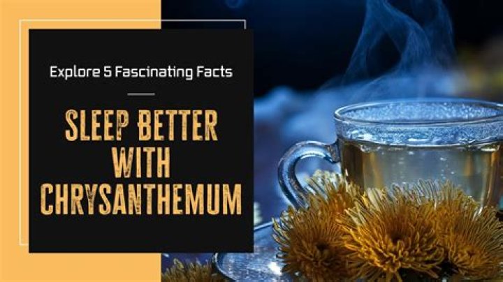 Does chrysanthemum tea make you sleepy?