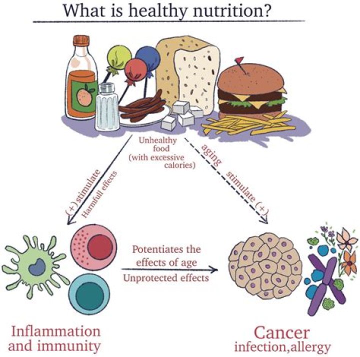 Does cleanliness affect immune system?