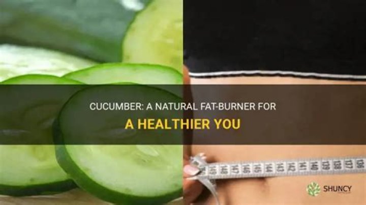 Does cucumber burn fat?