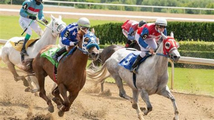 Does dead heat mean?