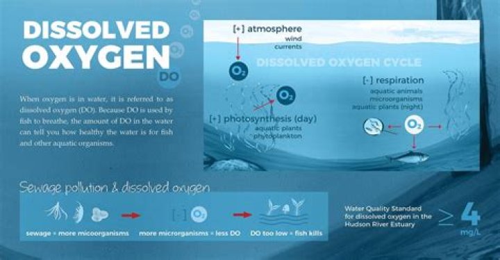 Does deep water have more oxygen?