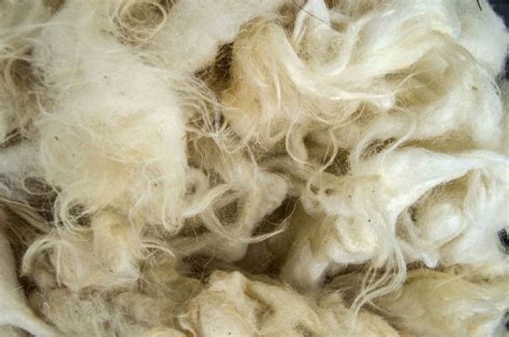Does dry cleaning damage wool?