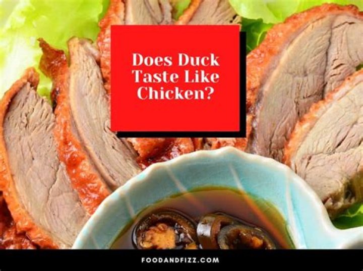 Does duck taste like chicken?