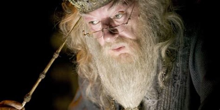 Does dumbledore kill grindelwald?
