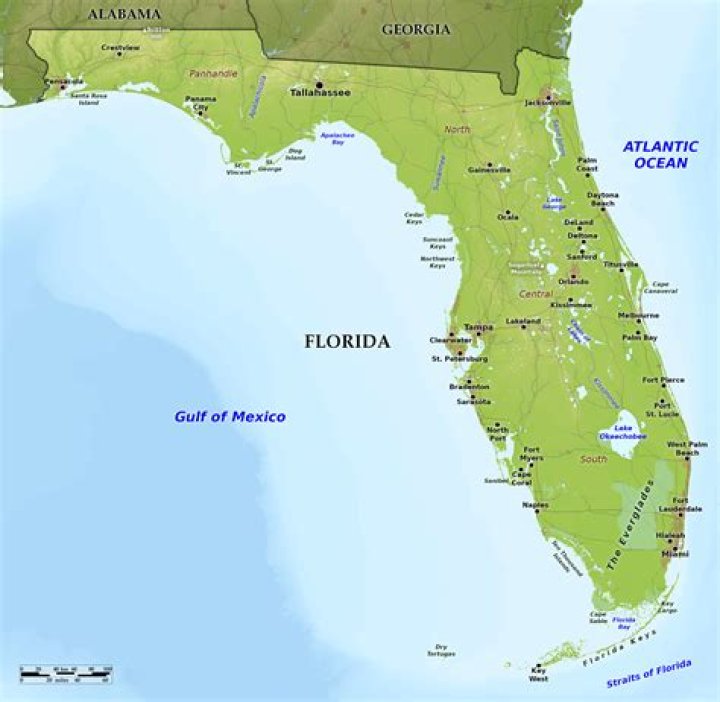 Does florida have orioles?