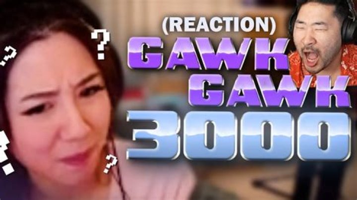 Does gawk mean stare?