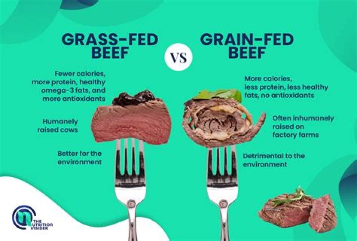 Does grain fed beef have gluten?