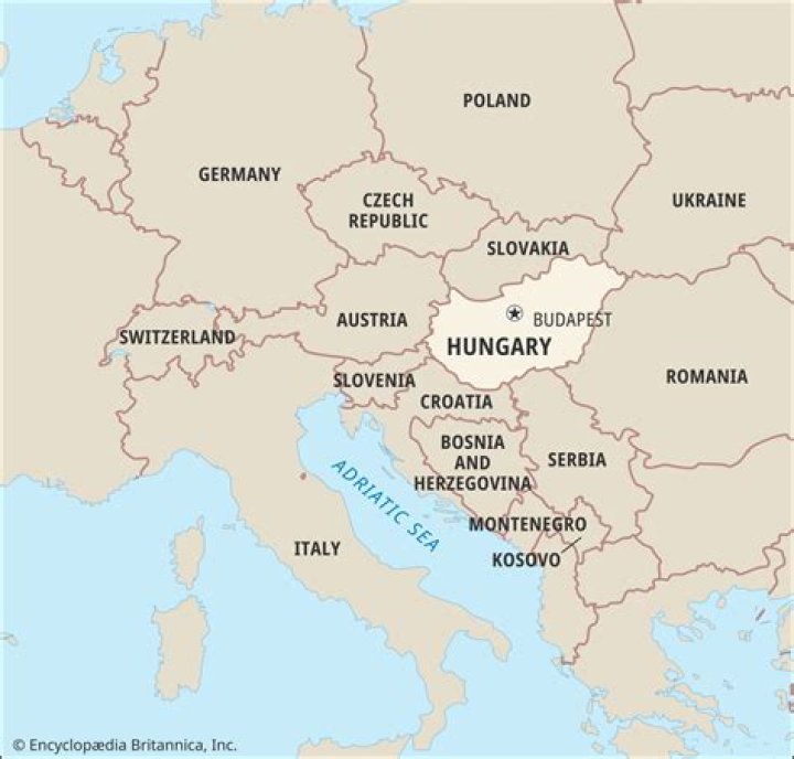 Does hungary still use the forint?