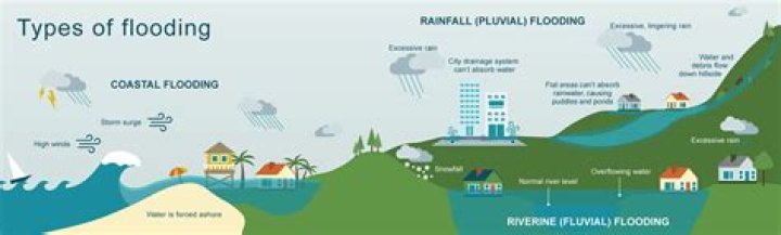 Does insurance cover basement flooding from rain?
