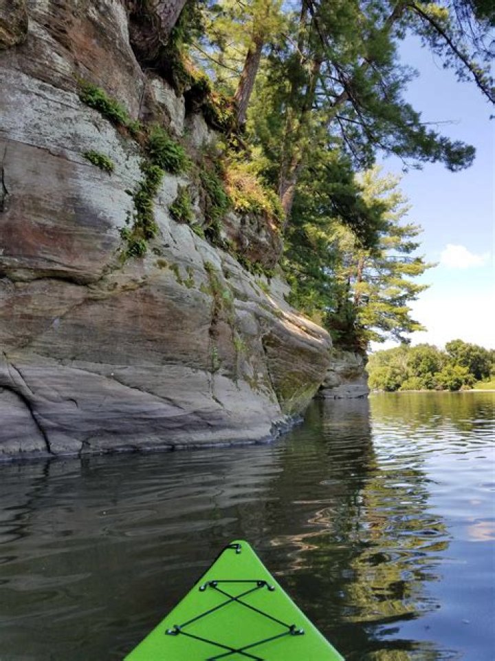 Does lowden state park allow dogs?