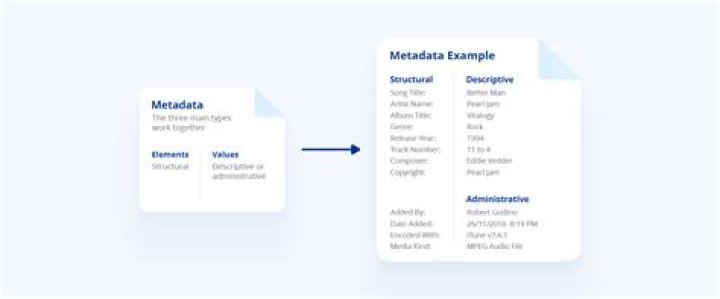 Does metadata stores only schema details?