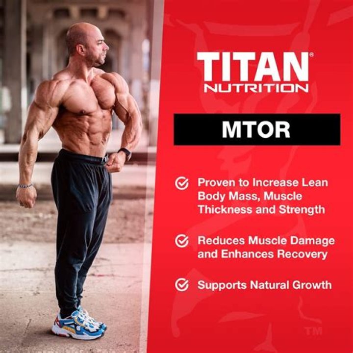 Does mtor build muscle?