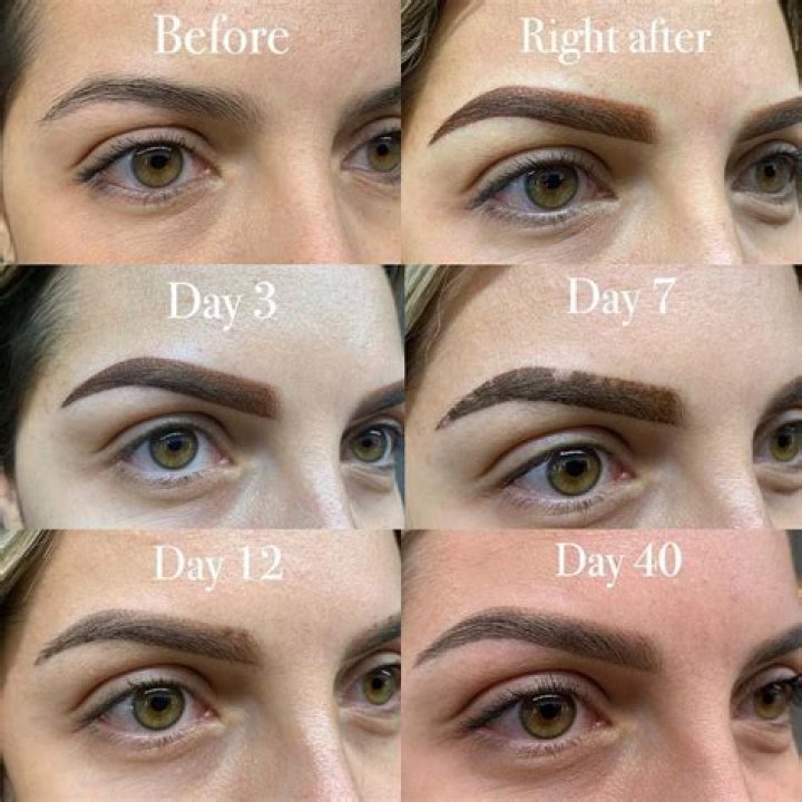 Does orphica brow work?
