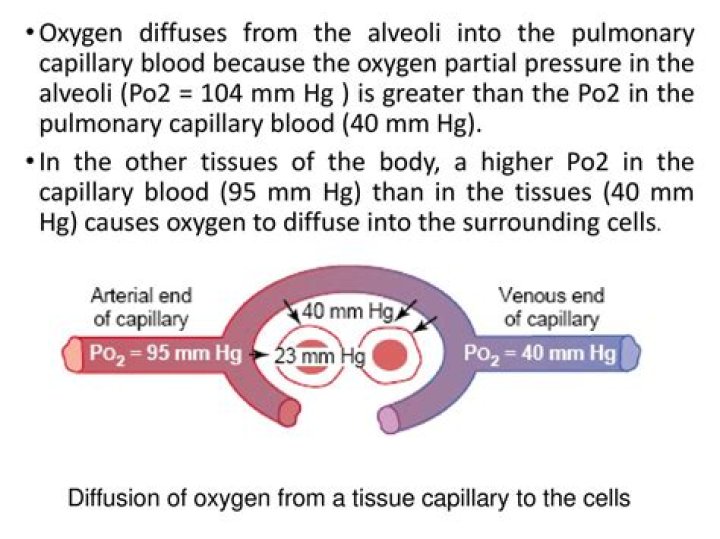Does oxygen diffuse into cells?