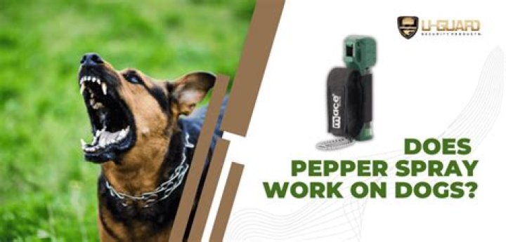 Does pepper spray work on attacking dogs?