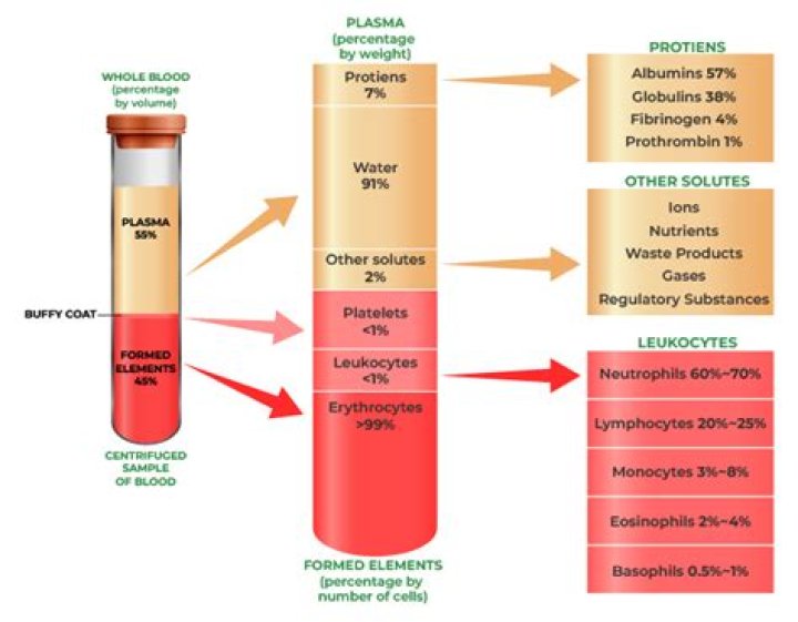 Does plasma have a blood type?
