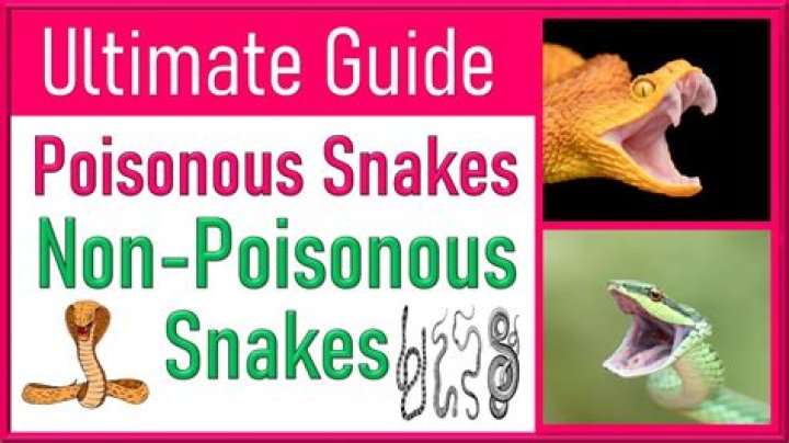 Does poison get more poisonous when it expires?