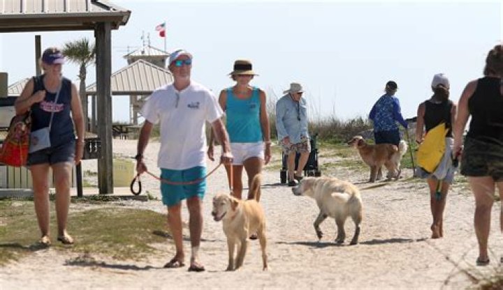 Does ponce inlet beach allow dogs?