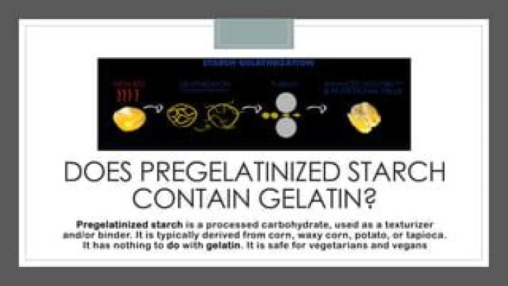 Does pregelatinized starch contain gelatin?