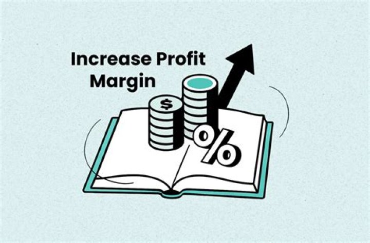 Does profit increase capital?