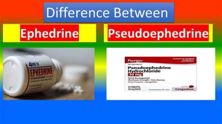 Does pseudoephedrine increase heart rate?